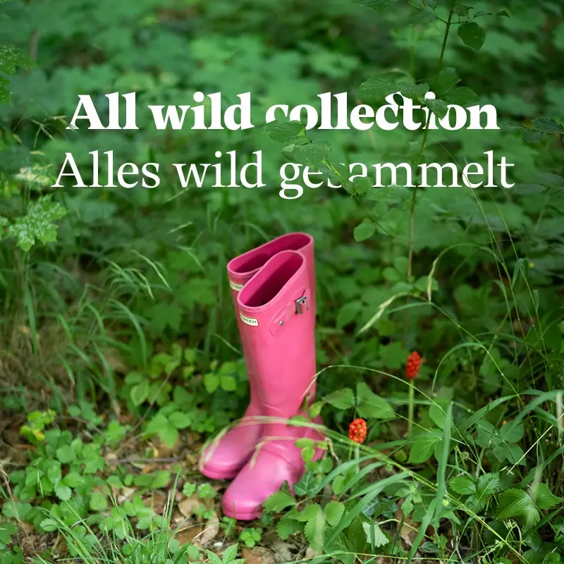 alleswildgesammelt_sqare